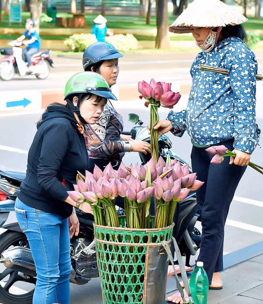 Những chiếc gùi “chở” hoa sen đã làm nên nét duyên dáng của phố phường.