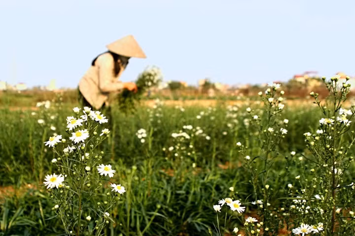 Chiếc nón là là một vật dụng quen thuộc trong đời sống người dân Việt từ ngàn xưa, gắn liền với những người phụ nữ. Nón lá cũng là hình ảnh tiêu biểu của Việt Nam, tạo nên nét văn hoá riêng đặc sắc.