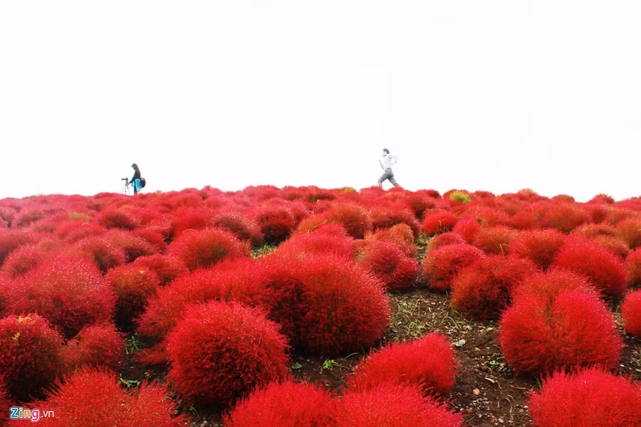 Sau khi kết thúc vòng chạy, Yoshida, người Nhật, 22 tuổi cho biết mỗi lần đến đây, anh đều chạy một vòng. 