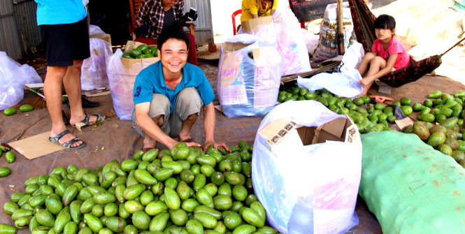 Nụ cười của ông chủ vựa bơ người Nghệ An ở ngã ba Nam Đàn Nụ cười của ông chủ vựa bơ người Nghệ An ở ngã ba Nam Đàn