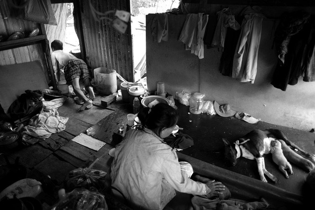 Ông Chứng (50 tuổi) sống một mình trên chiếc ghe cũ với mấy con chó làm bạn. Lâu lâu, em gái ông Chứng ở trên bờ xuống thăm và mang cho ông ít gạo và thức ăn. 