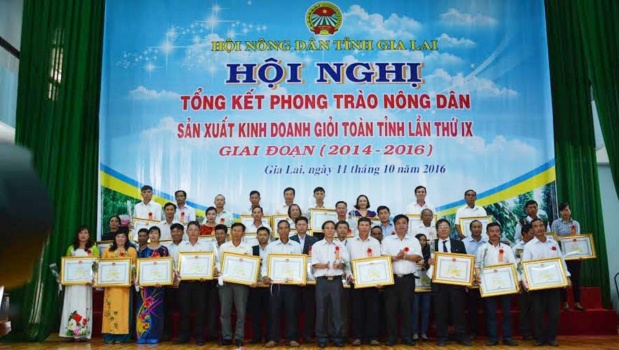 Tặng bằng khen của Chủ tịch UBND tỉnh cho 82 cá nhân có thành tích xuất sắc trong phong trào nông dân sản xuất kinh doanh giỏi giai đoạn 2014-2016. Ảnh: H.T Tặng bằng khen của Chủ tịch UBND tỉnh cho 82 cá nhân có thành tích xuất sắc trong phong trào nông dân sản xuất kinh doanh giỏi giai đoạn 2014-2016. Ảnh: H.T