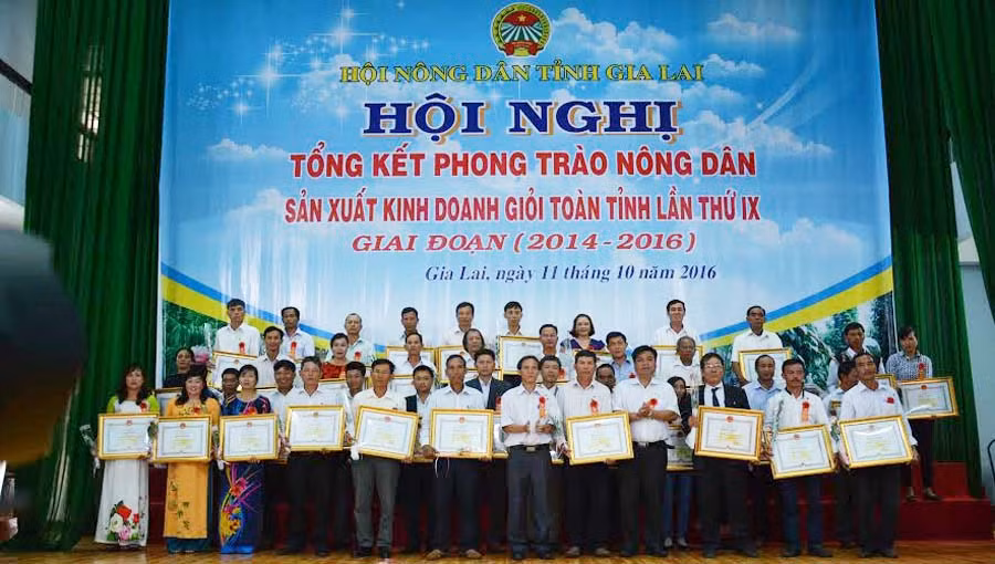 Tặng bằng khen của Chủ tịch UBND tỉnh cho 82 cá nhân có thành tích xuất sắc trong phong trào nông dân sản xuất kinh doanh giỏi giai đoạn 2014-2016. Ảnh: H.T