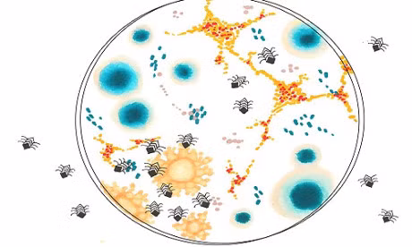 Hình minh họa những cỗ máy siêu nhỏ tiêu diệt các tế bào ung thư. Hình minh họa những cỗ máy siêu nhỏ tiêu diệt các tế bào ung thư.