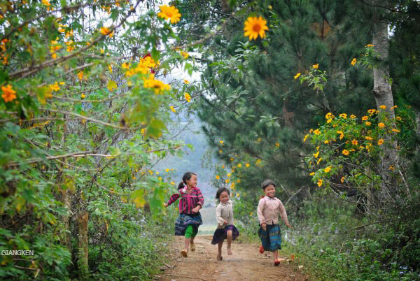 Ảnh: Giangken Ảnh: Giangken