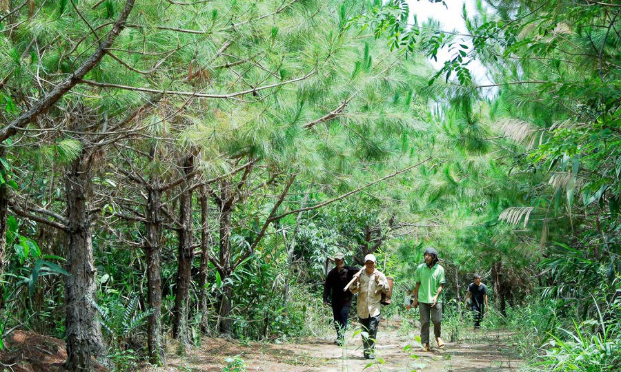 Công tác trồng rừng đòi hỏi một nguồn kinh phí rất lớn. Ảnh: Đức Thụy Công tác trồng rừng đòi hỏi một nguồn kinh phí rất lớn. Ảnh: Đức Thụy