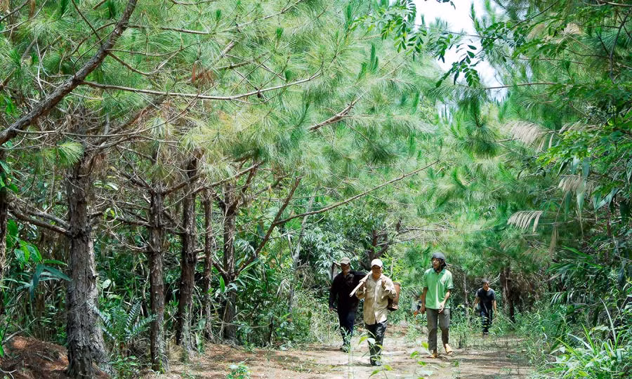 Công tác trồng rừng đòi hỏi một nguồn kinh phí rất lớn. Ảnh: Đức Thụy