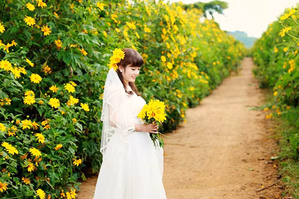 Thời tiết se se lạnh kèm theo chút nắng là điều kiện lý tưởng để chiêm ngưỡng hoa dã quỳ.