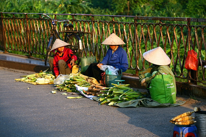 Nón dùng để đội đầu che nắng…
