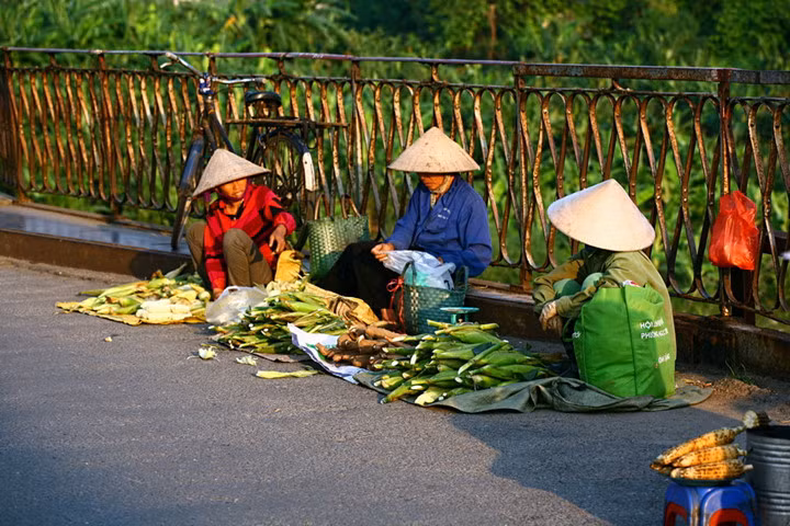 Nón dùng để đội đầu che nắng…