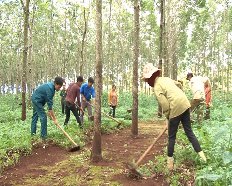 Ảnh: A.H Ảnh: A.H