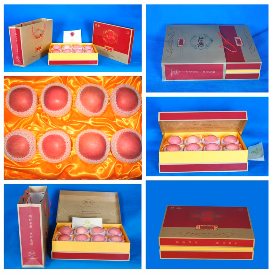  Những trái táo Yên Đài nổi tiếng sau thu hái được đóng hộp, đưa vào siêu thị, tiêu thụ khắp nơi và xuất khẩu sang các nước.