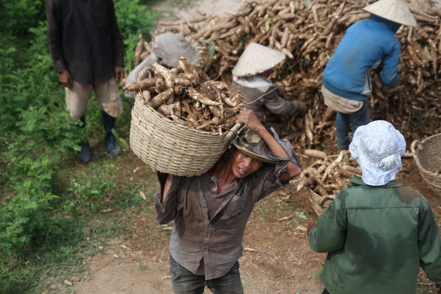 Ảnh: Văn Ngọc Ảnh: Văn Ngọc