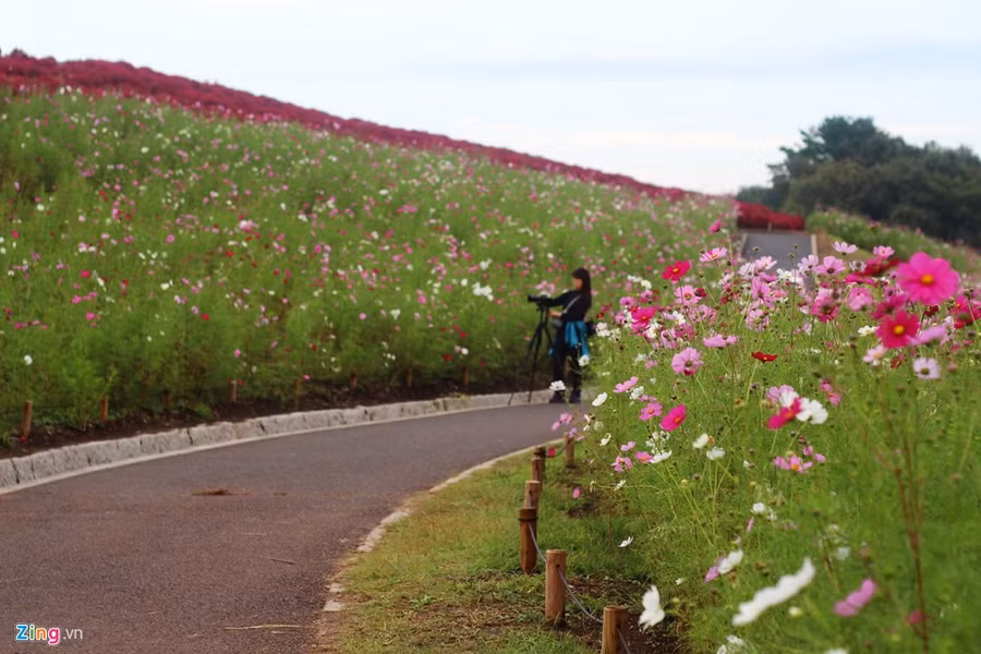 Du khách lớn tuổi chọn cách ngồi trên băng ghế ở đỉnh đồi.