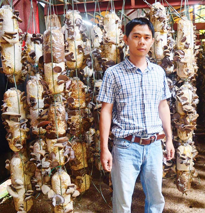 Nguyễn Quốc Uy bên trại nấm của mình. Ảnh: H.T