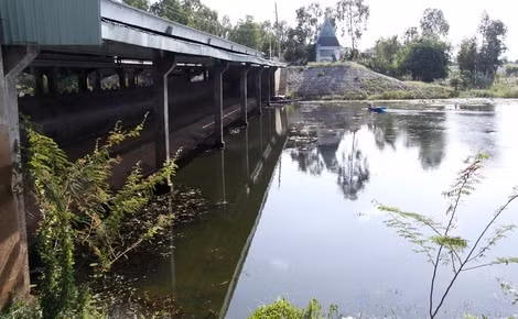 Cách đây hơn 20 ngày, đập Trà Sư và đập Tha La còn trơ đáy trông thật buồn tẻ phẳng lặng.