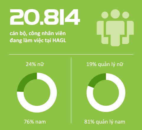 Cơ cấu nhân sự Hoàng Anh Gia Lai 2015. Cơ cấu nhân sự Hoàng Anh Gia Lai 2015.