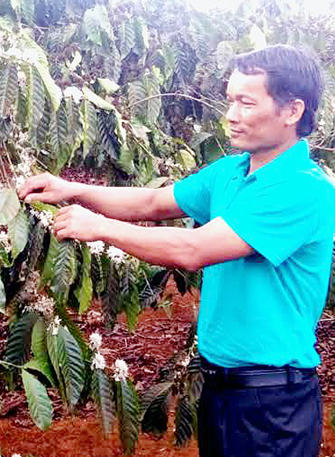 Y Nhứi chăm sóc vườn cà phê của gia đình. Ảnh: H.T Y Nhứi chăm sóc vườn cà phê của gia đình. Ảnh: H.T