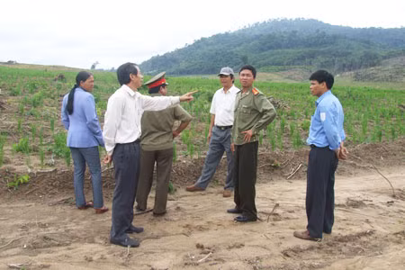 Khu đất kha hoang bị làng Jăng Krái lấn chiếm. Ảnh: Phương Loan