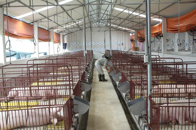 Ảnh minh họa Ảnh minh họa