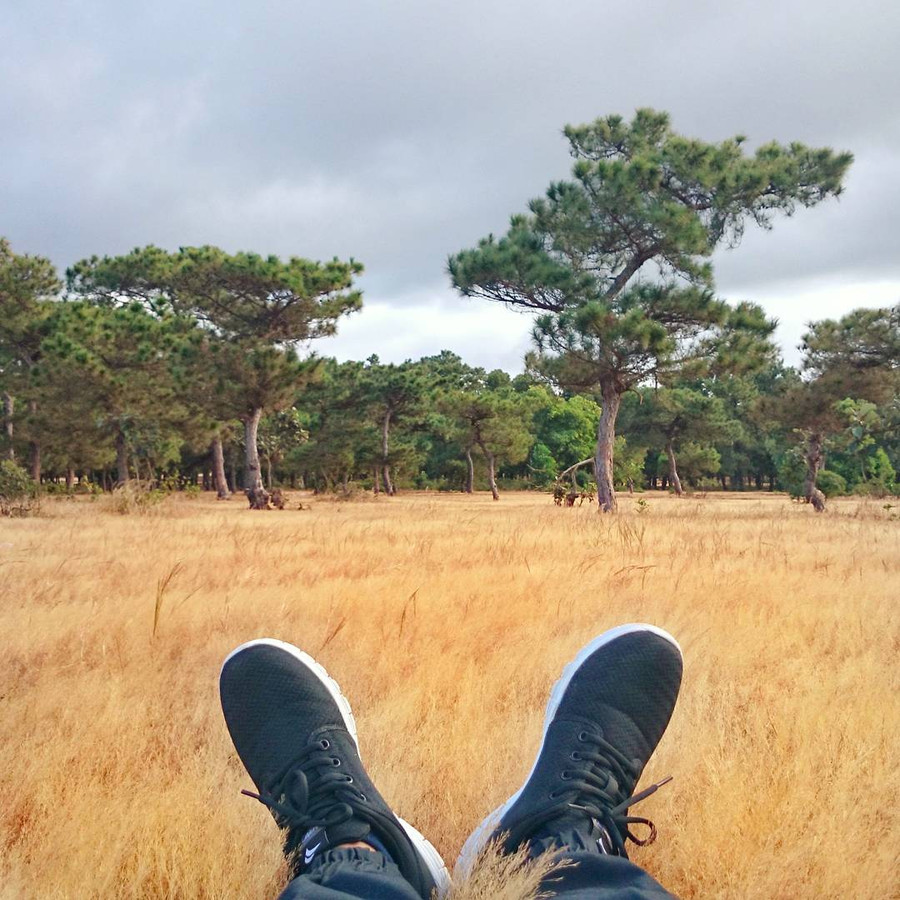 Đẹp như cổ tích - Ảnh: tusngaan