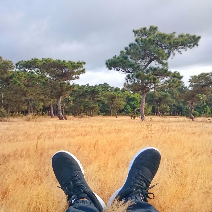 Đẹp như cổ tích - Ảnh: tusngaan