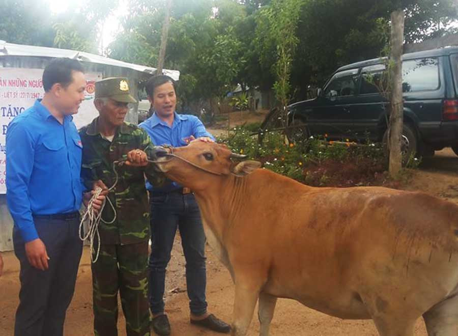 Trao tặng bò cho gia đình ông Đinh Tách. Ảnh: Thống Nhất Trao tặng bò cho gia đình ông Đinh Tách. Ảnh: Thống Nhất