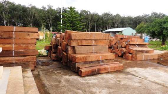 Tang vật bị thu giữ Tang vật bị thu giữ