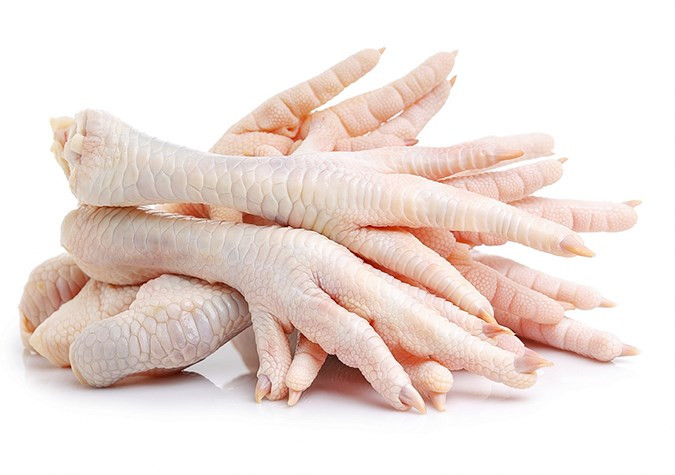 Chất collagen, protein dính như keo, hydroxyapatite, tế bào và chất nền có trong chân gà có thể tái tạo và làm cho xương chắc khỏe hơn. Ảnh: A đây rồi.