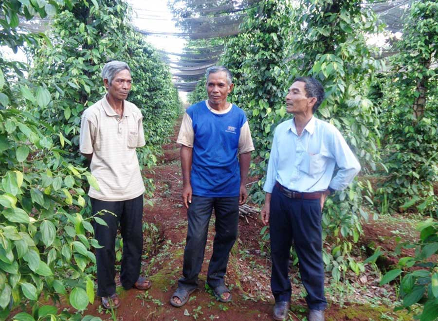 Các hội viên trao đổi kinh nghiệm chăm sóc cây trồng. Ảnh: N.H Các hội viên trao đổi kinh nghiệm chăm sóc cây trồng. Ảnh: N.H