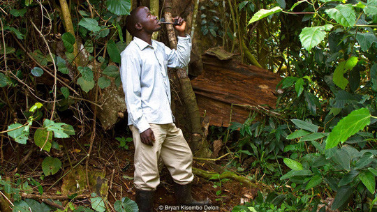 Thầy lang emandwa, ông Lubala Simon, được tin là có khả năng trò chuyện với linh hồn Luwala. Ảnh: BBC