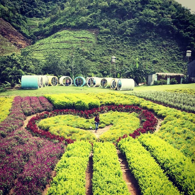 Mọi ngóc ngách của thung lũng hoa này đều có thể tạo nên nghìn bức ảnh 