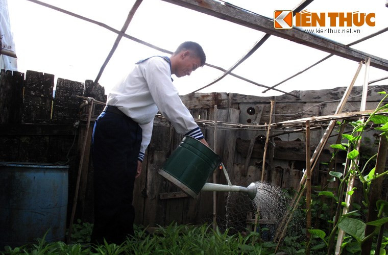 Họ tận dụng mọi thứ có thể che chắn được để bảo vệ vườn rau dưới những làn gió mang đầy muối biển thổi quanh năm.