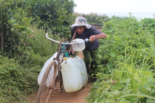 Ngày nào cũng vậy, ông Dương Kiên hì hục với 4 can nước đầy từ giếng cổ.