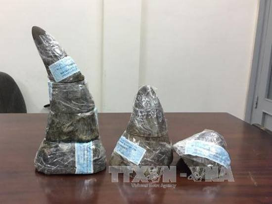 Ảnh minh họa Ảnh minh họa