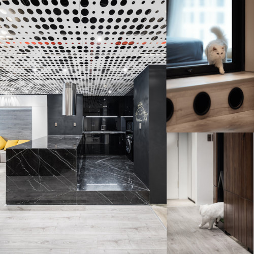 Mèo là thành viên đặc biệt của gia đình này. Ở đây, bốn con mèo có nhà vệ sinh riêng được thiết kế bên trong nhà vệ sinh ẩn sau hệ thống tủ khóa. Khu nhà vệ sinh cho mèo có quạt hút, tủ để treo quần áo và cho một số đồ dùng đặc biệt của mèo như cát, thức ăn, thuốc ...