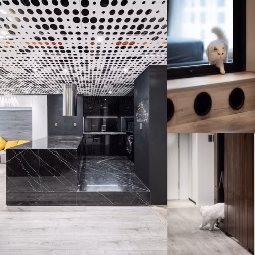 Mèo là thành viên đặc biệt của gia đình này. Ở đây, bốn con mèo có nhà vệ sinh riêng được thiết kế bên trong nhà vệ sinh ẩn sau hệ thống tủ khóa. Khu nhà vệ sinh cho mèo có quạt hút, tủ để treo quần áo và cho một số đồ dùng đặc biệt của mèo như cát, thức ăn, thuốc ...