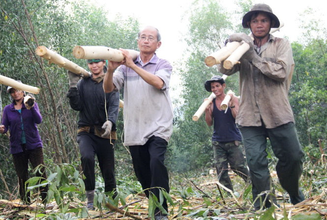 Ông Trường (giữa, đeo kính) cũng làm việc như bao nhân công dù ông đã 68 tuổi, có cơ ngơi bạc tỉ. Ông Trường (giữa, đeo kính) cũng làm việc như bao nhân công dù ông đã 68 tuổi, có cơ ngơi bạc tỉ.