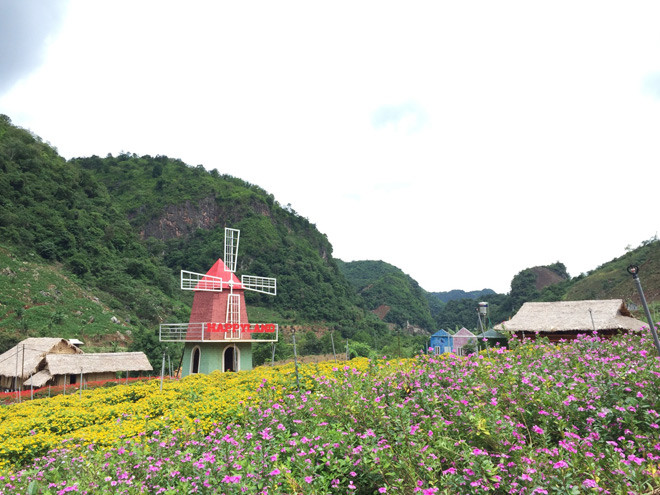  Đây có thể được gọi là thiên đường hoa