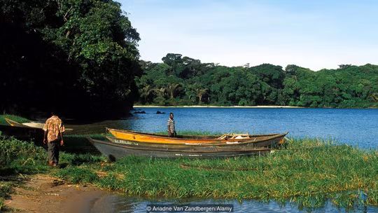 Truyền thuyết kể lại rằng quần đảo Ssese từng là nơi sinh sống của bộ tộc Abassese - một chủng tộc có khả năng gắn kết với thế giới siêu nhiên. Ảnh: BBC