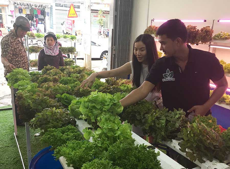 Cửa hàng rau thủy canh lúc nào cũng tấp nập khách mua. Ảnh: Thảo Nguyên Cửa hàng rau thủy canh lúc nào cũng tấp nập khách mua. Ảnh: Thảo Nguyên