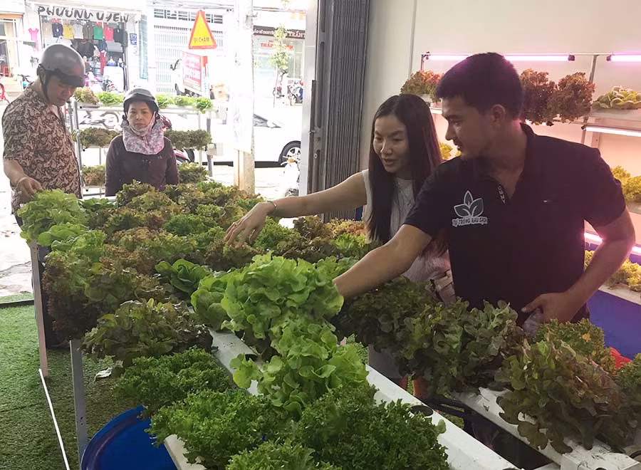 Cửa hàng rau thủy canh lúc nào cũng tấp nập khách mua. Ảnh: Thảo Nguyên