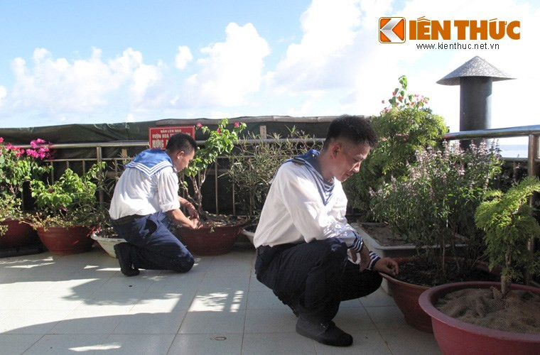 Những chậu cây cảnh và rau thơm như húng quế, đinh lăng trên đảo Len Đao cũng được người lính Hải quân chăm sóc rất cẩn thận.