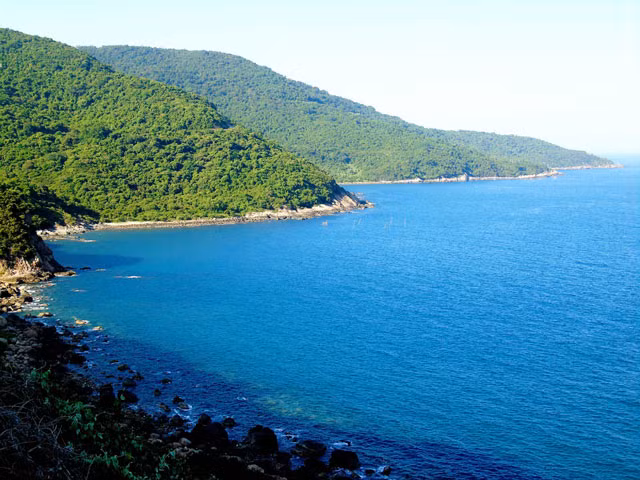 Sơn Trà có hệ thiên nhiên đặc hữu. Ảnh Lê Phước Chín