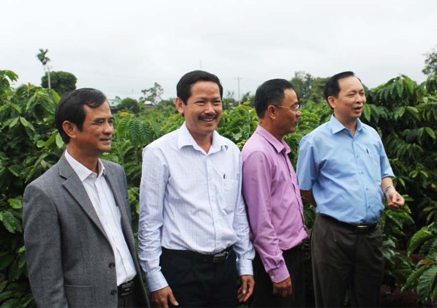 Phó Thống đốc Đào Minh Tú khảo sát vườn cà phê tái canh của Công ty cà phê Ia Sao 1. Ảnh: Kế Hiền Phó Thống đốc Đào Minh Tú khảo sát vườn cà phê tái canh của Công ty cà phê Ia Sao 1