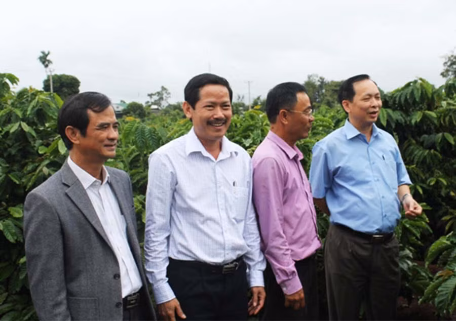 Phó Thống đốc Đào Minh Tú khảo sát vườn cà phê tái canh của Công ty cà phê Ia Sao 1