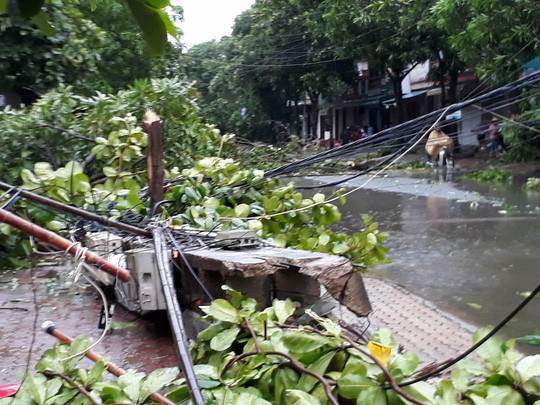 Bão số 2 gây thiệt hại rất lớn cho tỉnh Nghệ An.