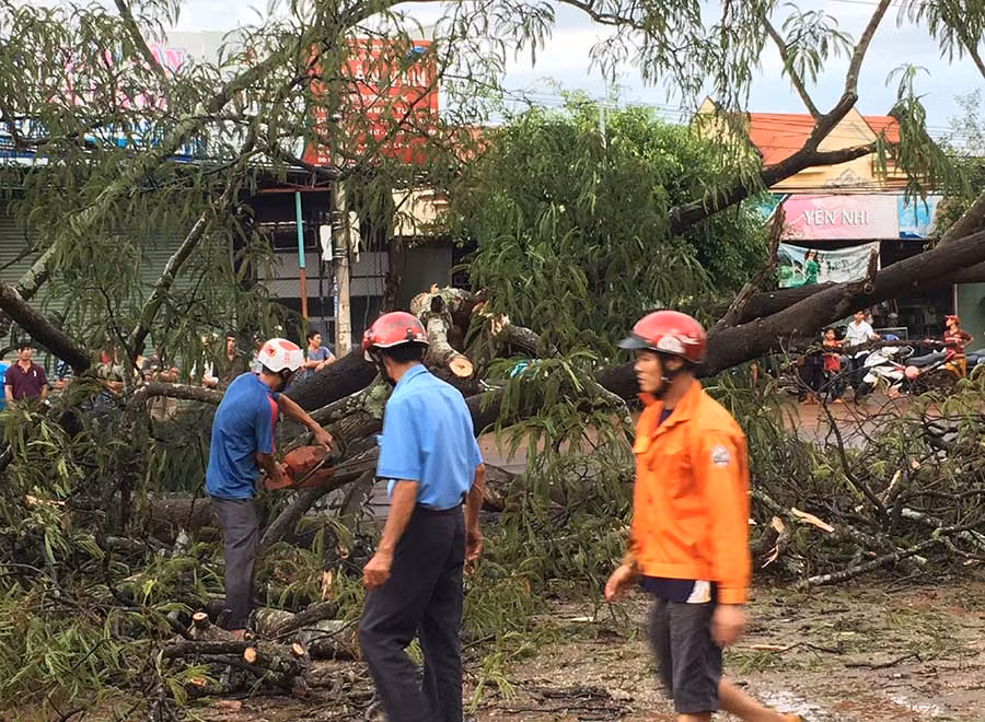 Ngành chức năng đang tích cực cưa, cắt cây xanh để giải phóng lối đi. Ảnh: An Nhiên