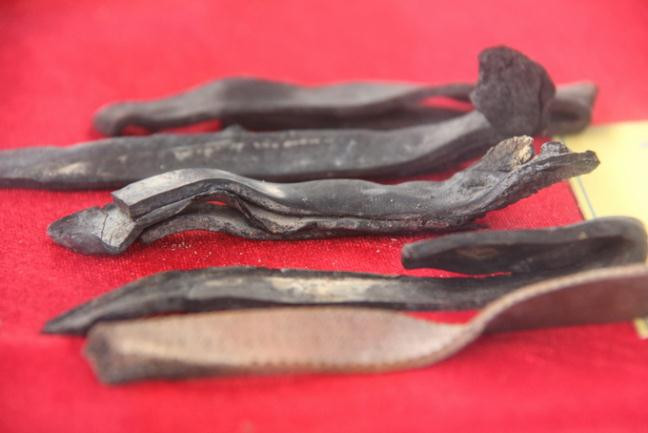 Quai dép râu đen.