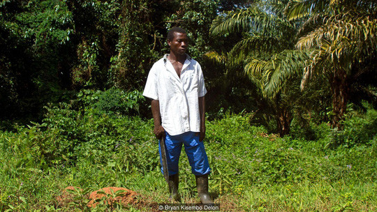 Khu rừng linh thiêng Buswa trên đảo Bugala được canh giữ nghiêm ngặt. Ảnh: BBC